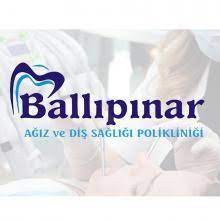 Ballı Pınar Logo